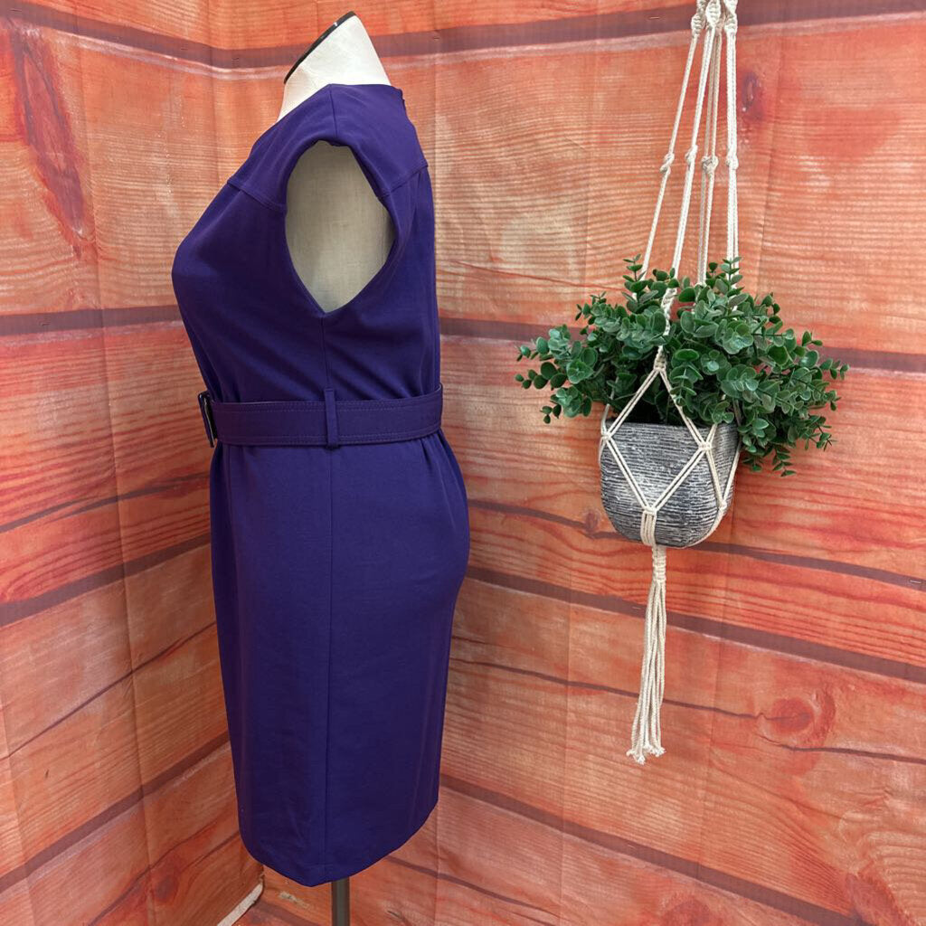 Calvin Klein Purple Dress