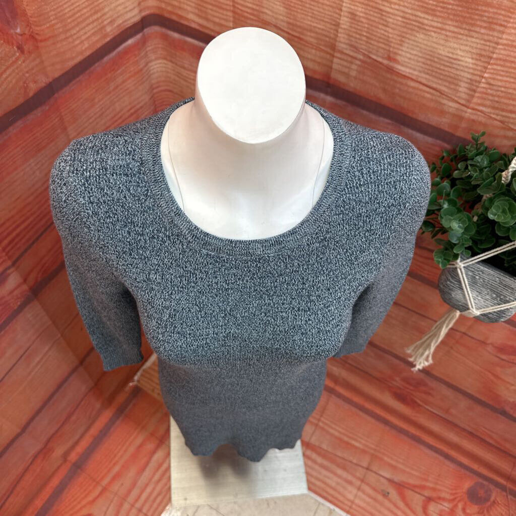 Ann Taylor Petite Knit Dress