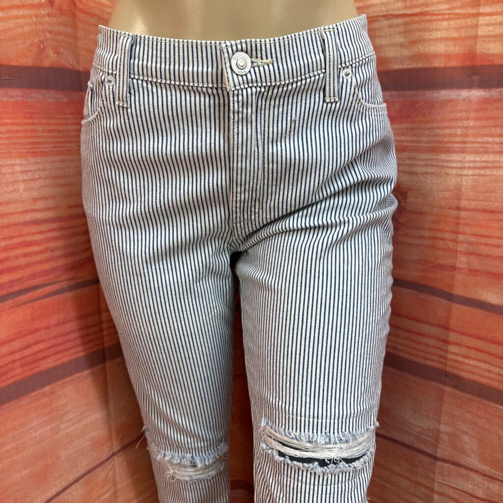New Hudson Women's Striped Jeans