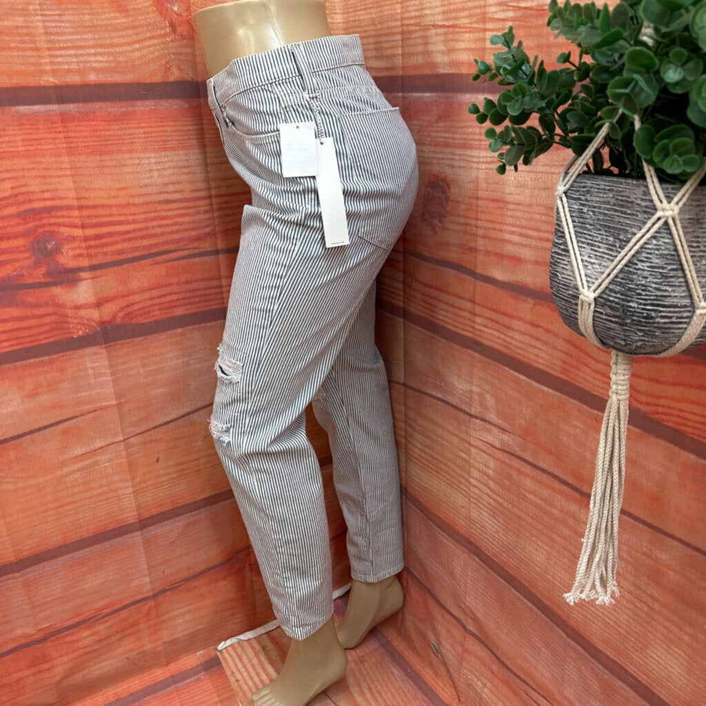 New Hudson Women's Striped Jeans